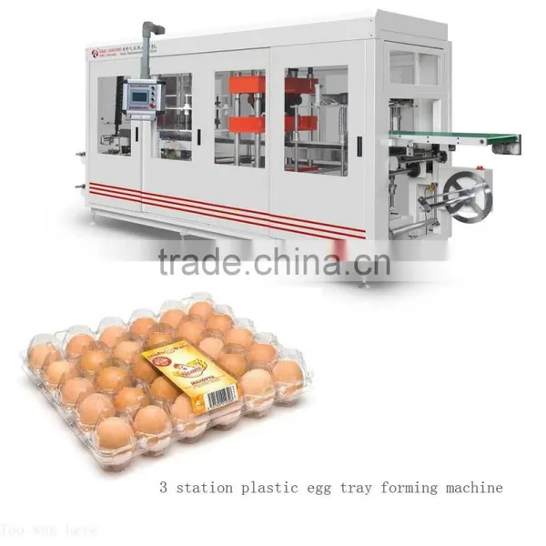 Plastic Egg Holder Forming Machine