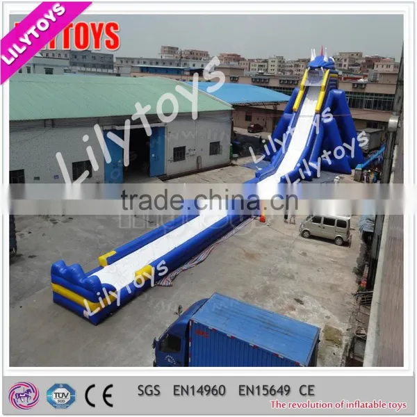Water Slides for Adults Inflatable Big Water Slide / Hippo Slide