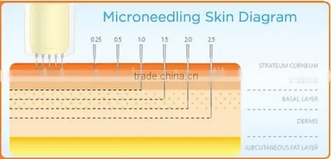 Best Anti Aging Microneedle Derma Pen Device/derma Pen Needles for Salon photo-6