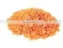 Lentils