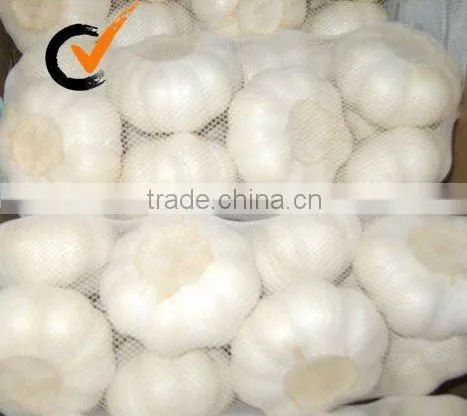 Fresh Garlic photo-2