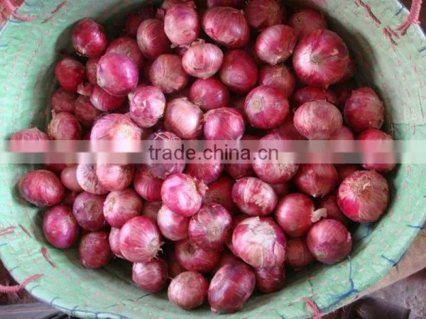 Red Onions