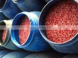 Egyptian Frozen Pomegranate photo-2