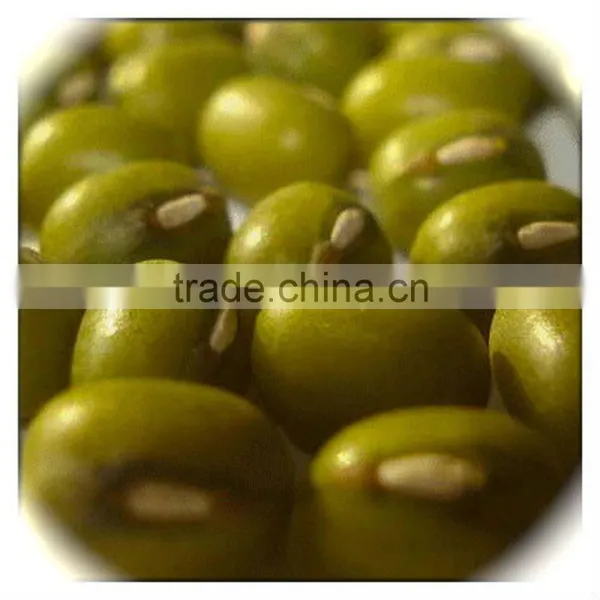JSX in Vigna Beans Myanmar Pulses Dalian High Quality Export Green Beans photo-4