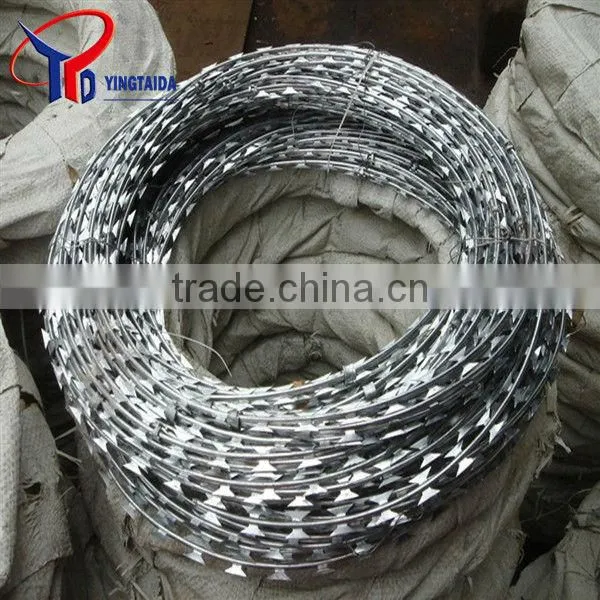 Barbed Wire Security Fence photo-4