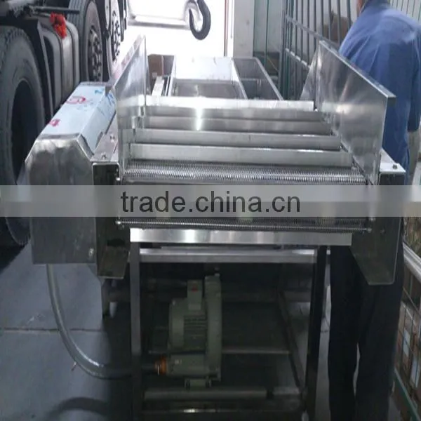 Ice Glazing Machine With Good Performance and High Capacity photo-2