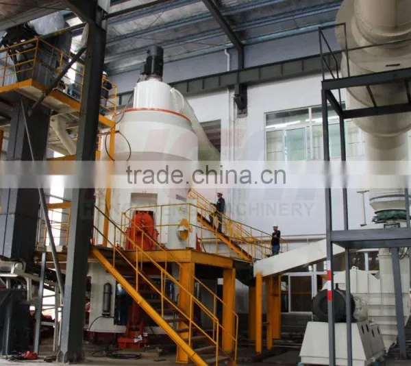 Competitive Price 1m Veritical Mill for Limestone / Gypsum photo-3