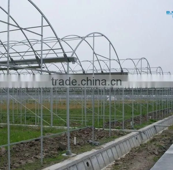 BaoLiDa Agricultural Greenhouse photo-2
