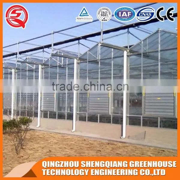 China Factory Direct Steel Frame Glass Greenhouse Ventilation System photo-4