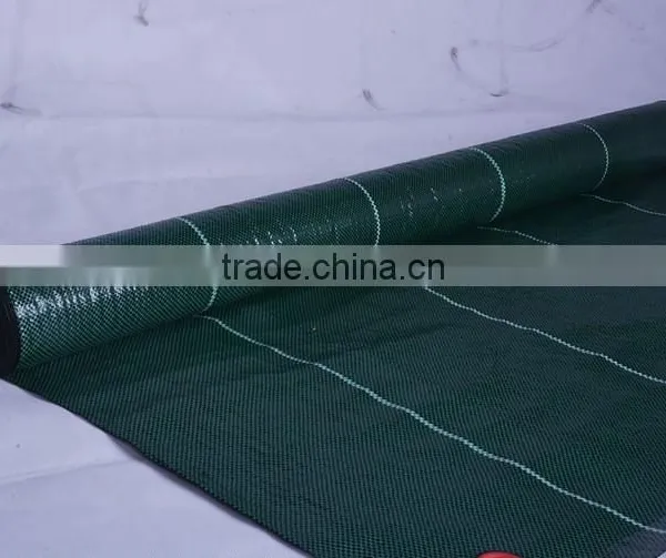 Black PP Weed Barrier Landscape Fabric photo-4
