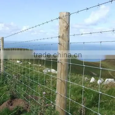 2.4mm*2.0mm High Tension Farm Fencing and Wire Mesh Sheep Fence photo-4