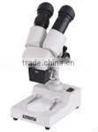 Stereo Microscope
