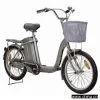Electric Bicycle