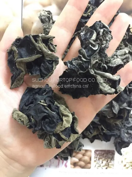Factory Price Big Fungus Dried Black Mushroom Whole Like a Flower photo-2