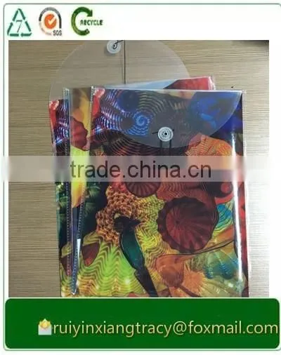 PP Material and Document Bag Type Clear Plastic File Envelopes photo-3