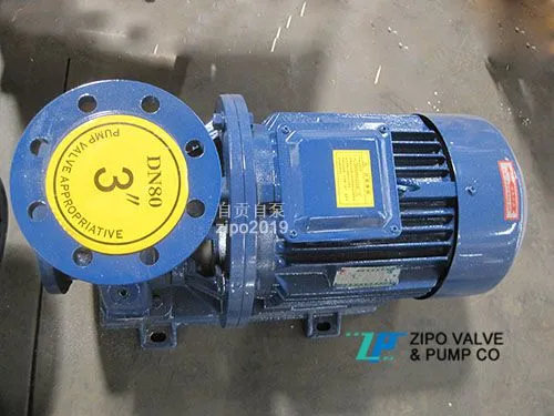 ZIPO ZISW/ ZISWH/ZISWR Horizontal Pipeline Centrifugal Pump photo-4