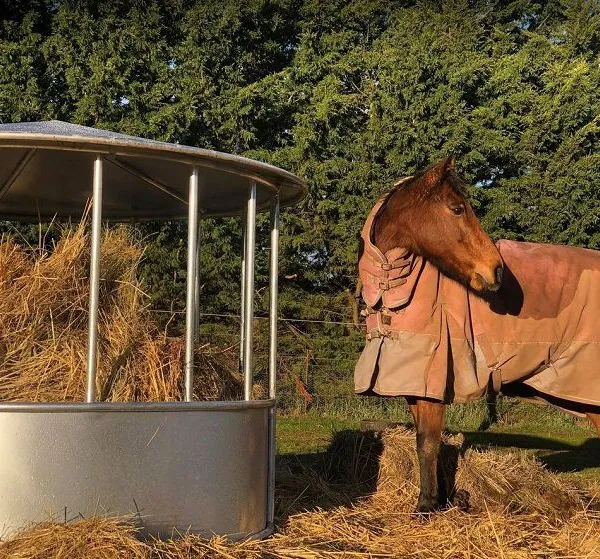 Waterproof Round Bale Feeder for Cattle Sheep and Horse With Cover Roof for Farm Trellis & Gates photo-6