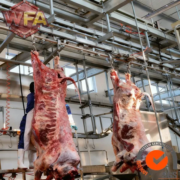 Turnkey Solution Cow Slaughterhouse Beef Slaughtering Processing Line Machinery Cattle Slaughter Equipment photo-3