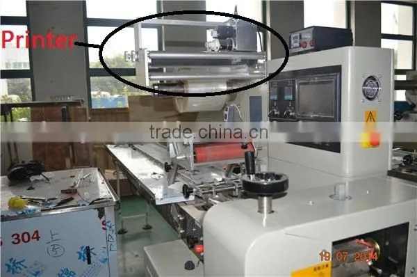 China Factory YB-350 Automatic Pillow Type Idli Packing Machine Horizontal Flow/0086-18516303933 photo-2