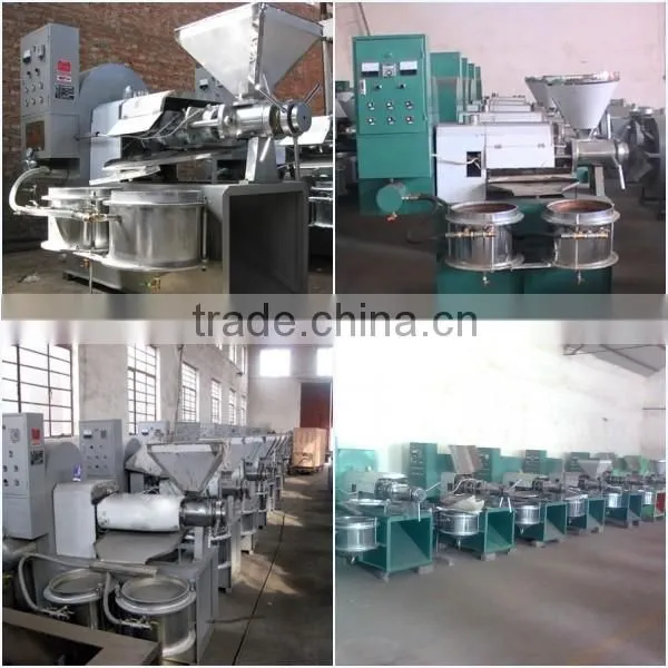Automatic Industrial Oil Press and Mini Oil Press Machine photo-3