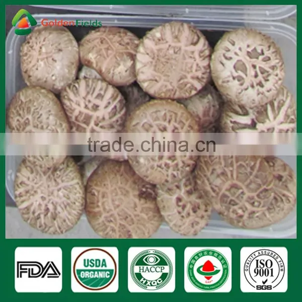 Shiitake Farm,Shiitake Mushroom Kit,Black Mushrooms photo-4