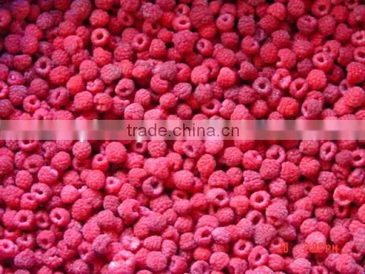 IQF Red Raspberry photo-4