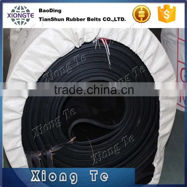 CB311 Series Heavy Duty Roller Conveyor, Conveyor Belt photo-5