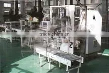 ALJ Series Semi-auto Case Packer Machine