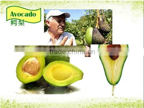 Avocado Oil (virgin-cold Pressed)