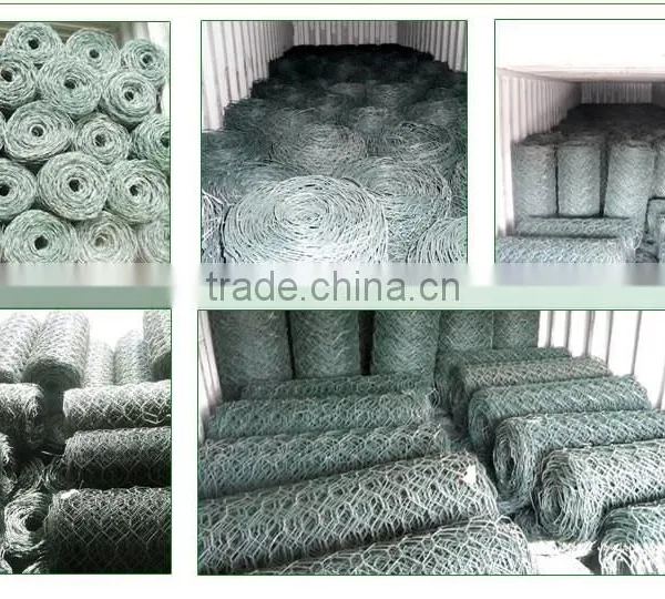 High Quality Hexagonal Wire Mesh With Galvanized Iron Wire photo-4
