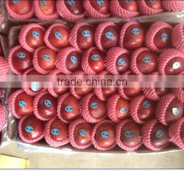Chinese Huaniu Apple Exporting photo-2