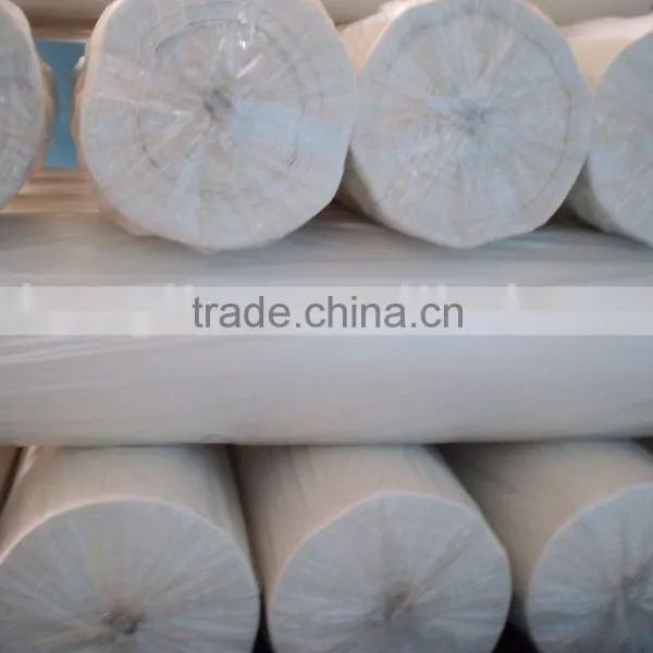 Nonwoven Interlining(garment Interlining, Polyester Nonwoven)
