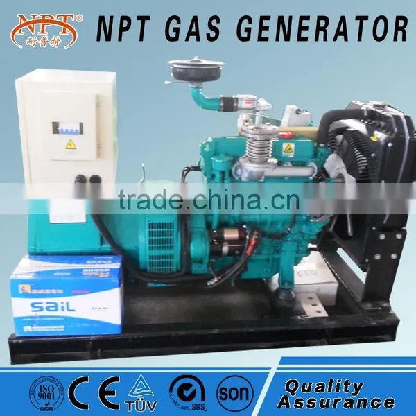 AC Three Phase Output Type Syngas Electric Generator photo-4