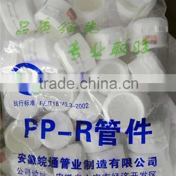 Cheap and Fine PPR Pipe Fitting Plug photo-4