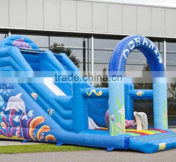 Inflatable Dry Slide for Sale, Cheap Price Inflatable Slide photo-2