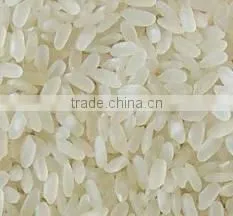 25% Broken Vietnamese Long Grain White Rice