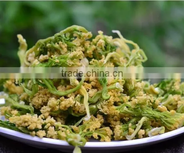 New 2015 Dried Broccoli Best Selling Products in Philippines photo-2
