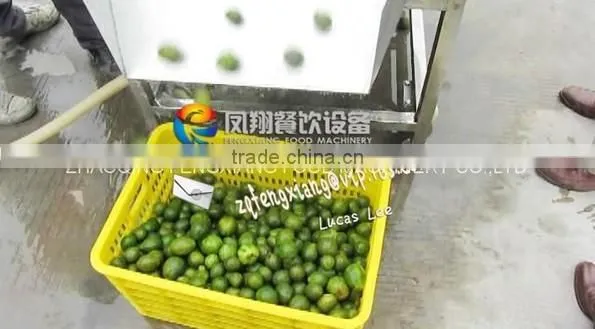 HP-360 Top And Bottom Spray Vegetable Fruit Cleaning Washer and Dryer Machine photo-6