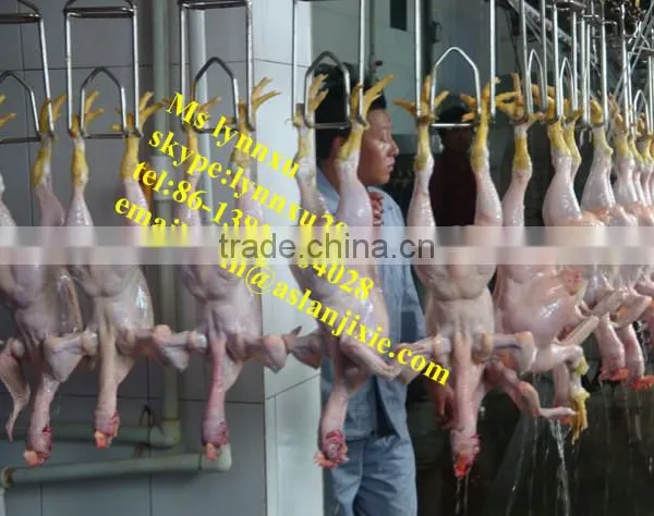 Automatic Whole Poultry Sorting Machine/ Chicken Grading Machine / Chicken Grader photo-6