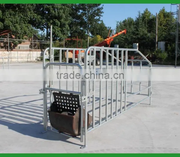 Pig Raising Equipment