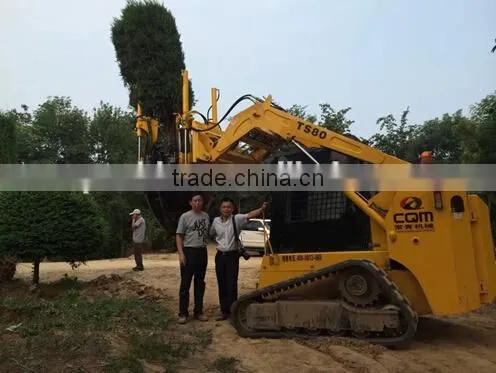 New Type for Tree Spade With High Quality Made in China photo-5