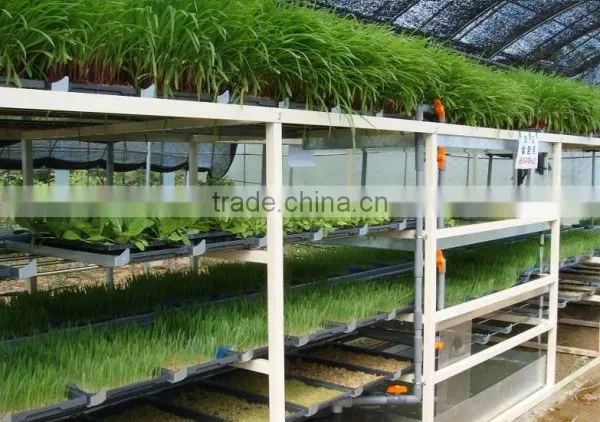 Hydroponics