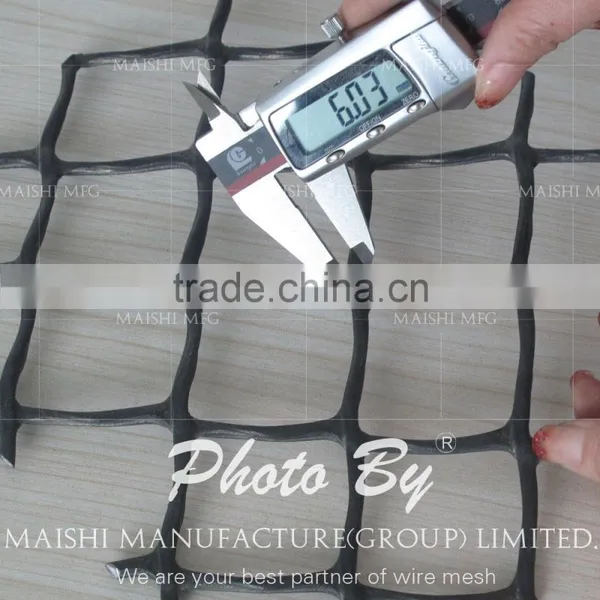 Hdpe Diamond Plastic Wire Mesh(factory) photo-4