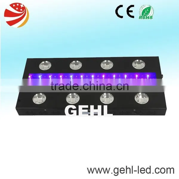 High Power LED Grow Light Best for Greenhouse Project photo-3