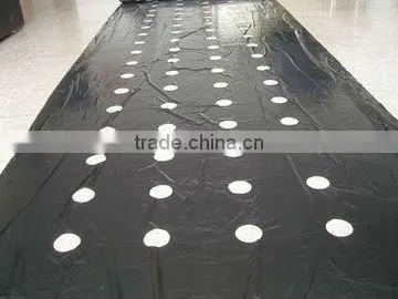Agricultural Black Perforted Plastic Mulch Film photo-2