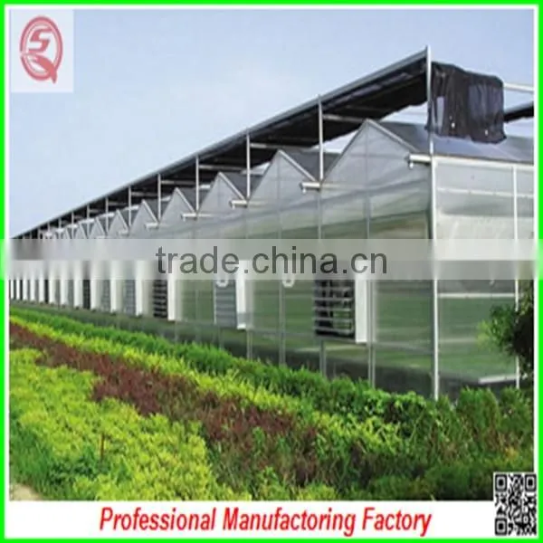 Muti-span Aluminium Profiles Polycarbonate Sheet Greenhouses With Hydroponic System