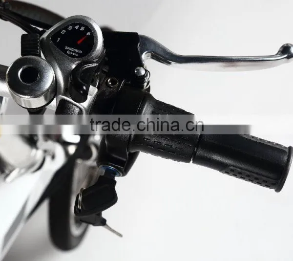 Baogl Efb06 Cheap 36V Controller Electric Folding Bike photo-4