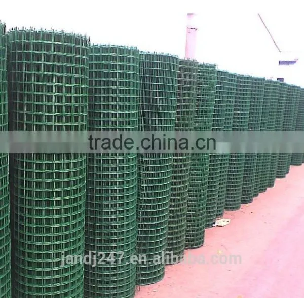Plastic Coated Welded Wire Mesh From Guangzhou Supplier/ Electrowelding Net photo-4