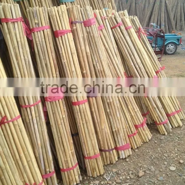24~26MM 240CM Tonkin Bamboo Stakes For Orchard photo-3