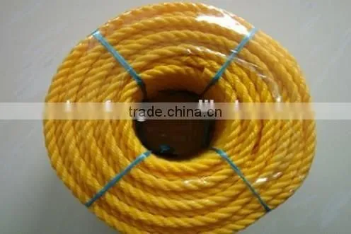 Para-aramid Rope